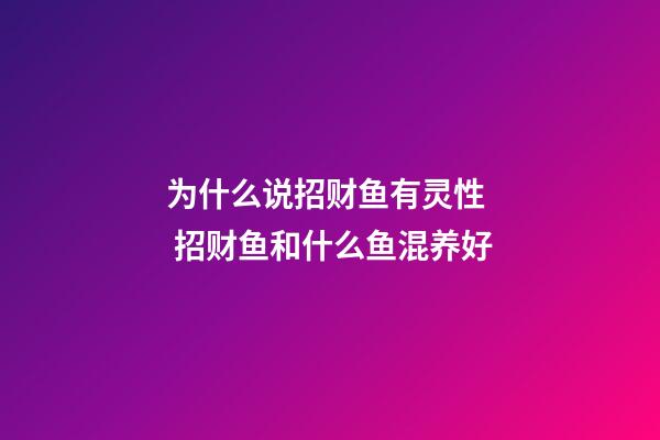 为什么说招财鱼有灵性  招财鱼和什么鱼混养好